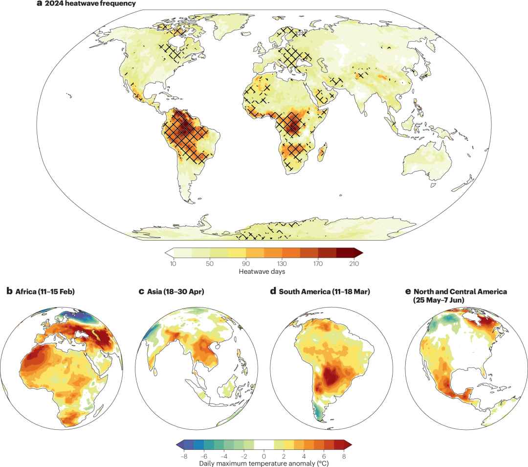 图 1：2024 年热浪统计数据。a ，ERA5-Land 6中 2024 年热浪天数（连续 ≥ 3 天，每日最高温度异常 > 90 百分位数，基于 1991 年至 2020 年期间的 15 天移动窗口）。阴影线勾勒出自 1979 年以来 2024 年热浪天数最多的地区。有关热浪天数异常，请参见补充图 1。b ，2024 年2月 11 日至 15 日非洲热浪事件的每日最高温度异常。c，如图 b 所示，但发生在 2024 年4月18日至 30 日的亚洲。d ，如图 b 所示，但发生在 2024 年 3 月 11 日至 18 日的南美洲。e ，如图 b 所示，但发生在 5 月 25 日至 6 月 7 日的北美洲和中美洲。 2024年，多个地区将出现前所未有的热浪频率，这凸显了极端气温事件加速发生的模式，尤其会影响热带和亚热带地区。