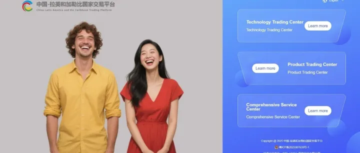 <em>Platform</em> Introduction