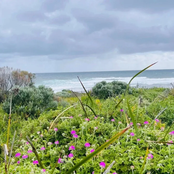 白银和伦铜双双创历史新高，原因详解