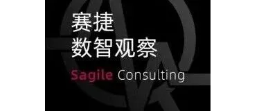 线上远程 | 赛捷数智咨询实习生招聘