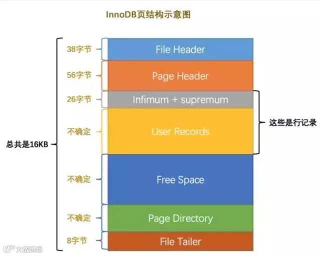 MySQL的基本存储结构是页