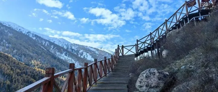 中国自行车协会回应近期电动自行车相关问题；《疯狂动物城2》4D场次一票难求；消息称 OpenAI CEO 奥尔特曼想投资火箭公司