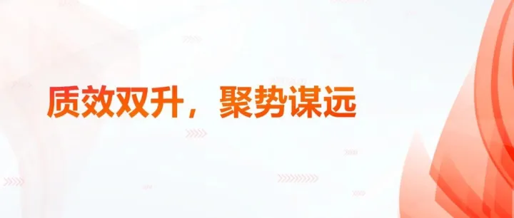 2025年半年度工作汇报 | 质效双升，聚势谋远