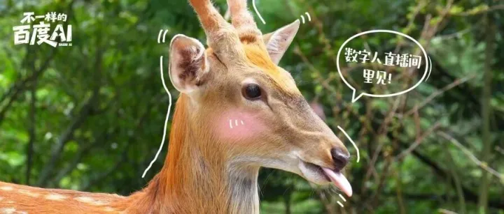 “咱村那个大主播，啥子来头？”