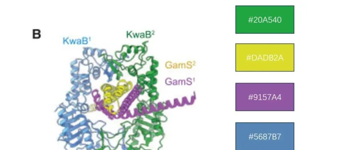 配色分享|学习Cell配色代码