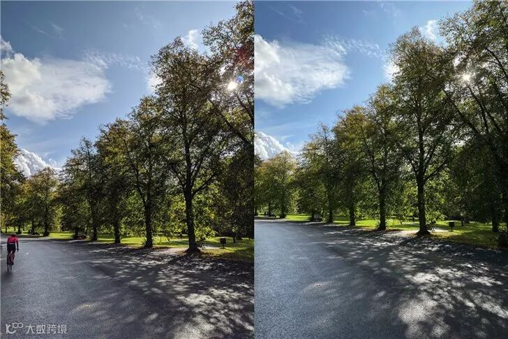 谷歌Pixel 4和苹果iPhone 11 Pro拍照对比