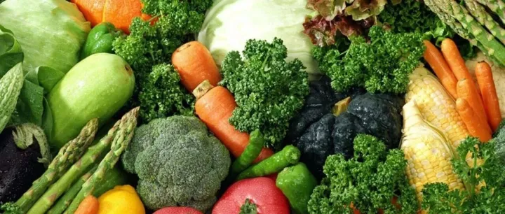 陕西首个完成备案的供港澳蔬菜加工基地诞生