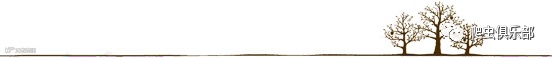 大树分割线
