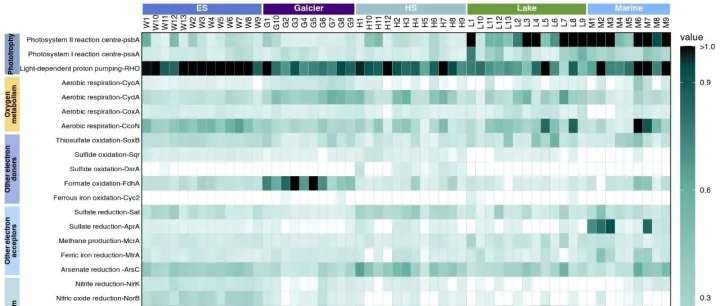 热图分组注释新玩法：从legendry的嵌套<em>guides</em>说起