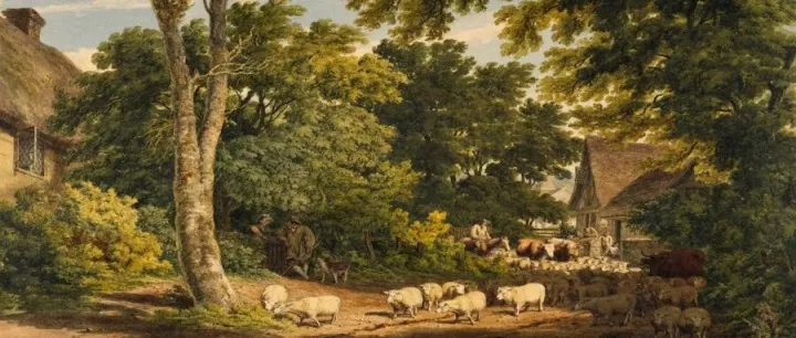 Layer2混战再起！Linea代币上线，是机会还是鸡肋？