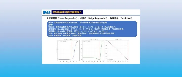 【定量因变量机器学习】R语言02-Lasso回归、岭回归、弹性网络（Elastic Net）及可视化标准化代码