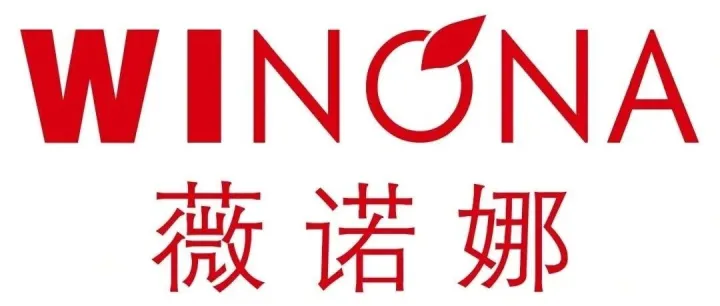 线上远程 | 薇诺娜东南亚GTM策略实习