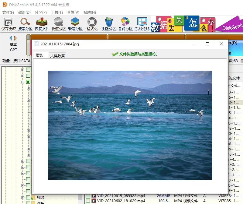硬盘数据恢复软件