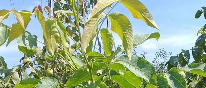 利润的相对论：超越市场环境的生存智慧