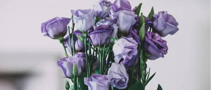 Excel专业技能：数据类型的转换