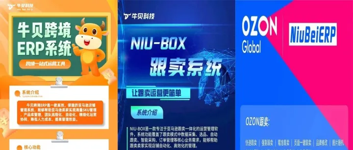亚马逊ozon跟卖铺货ERP软件可贴牌OEM更换成你自己的域名logo