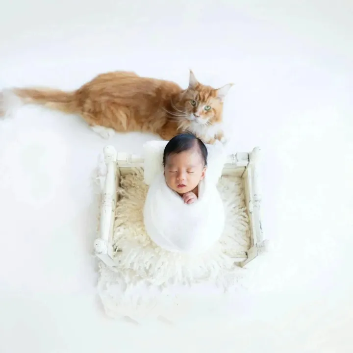 爱宠突然离世！前TVB港姐泪崩发悼念：很感恩遇见你！