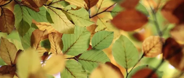 <em>SQL</em> <em>子</em><em>查询</em>基础应用