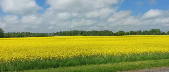 聊聊本周的收获