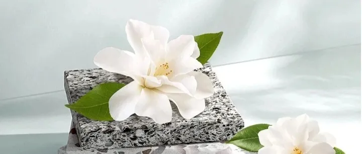 养人如养花，给细胞“喂对料”才是真养生