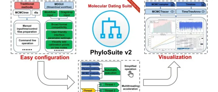 iMeta | 兰州大学/西藏大学张东组-PhyloSuite v2：面向系统发育与分子定年的一体化高效可视化分析平台