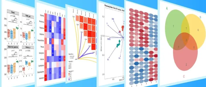 生信分析高手必备：这6种图表你掌握了吗？