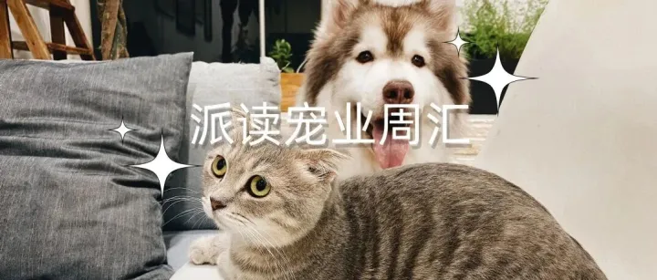 宠业周报 | 国内首个宠物鲜粮团标发布，帅克研发检测中心完成CNAS扩项评审