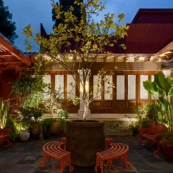 墨西哥城全新弗里达·卡罗故居博物馆向公众开放