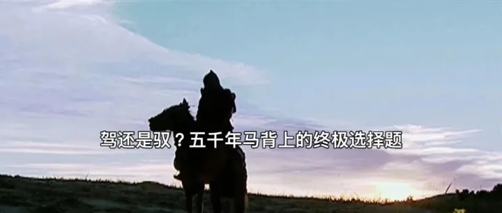 驾还是驭？五千年马背上的终极选择题