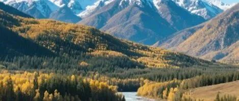 时间序列异常检测方法及实践：从统计方法到深度学习