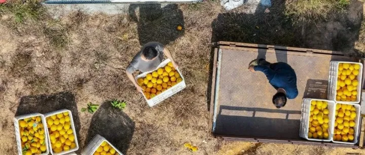 【2025世界绿发会暨中国绿博会】世界绿发会，江西站上“C位”