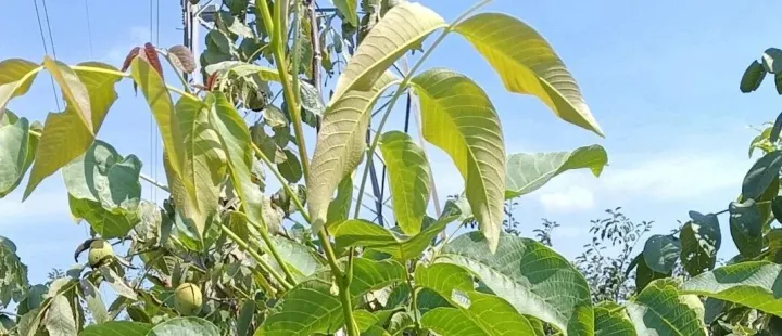 扎心，为何那么多领导被下属质疑管理能力？