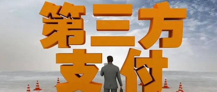 25年7月支付行业交易量排名