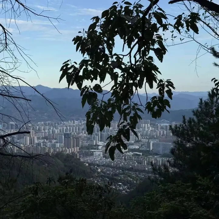 英伟达投资<em>新</em>思，背后<em>原因</em><em>曝光</em>