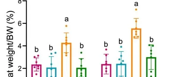 跟着iMeta学作图｜<em>分组</em>柱状图+差异字母标记