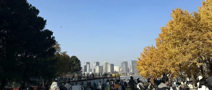 Etsy中国店铺旺季来了，定制宠物产品卖爆了！