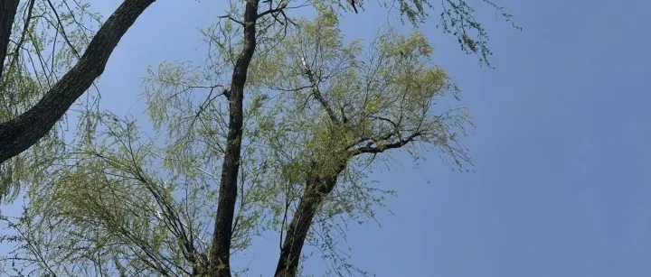 卧槽！！南非第一大电商平台开放对华招商，在线销售额即将突破70亿美元！