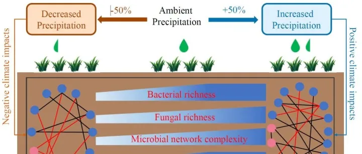 iMeta高引论文 | 西北农林韩新辉组揭示降水变化对土壤微生物网络复杂性和多功能性的影响