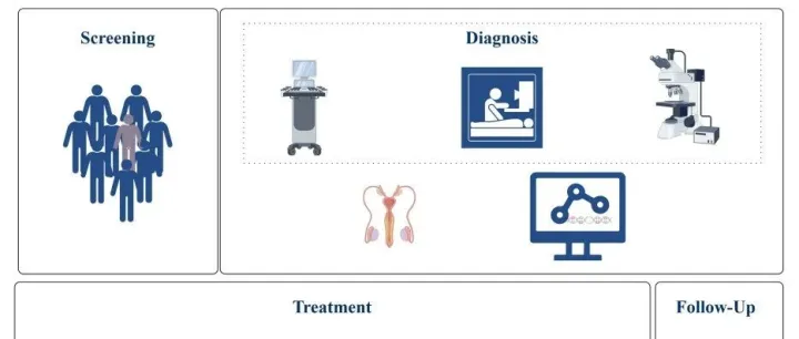 iMetaMed | 中国间皮瘤研究协作组-恶性睾丸鞘膜间皮瘤临床诊治专家共识（2025）