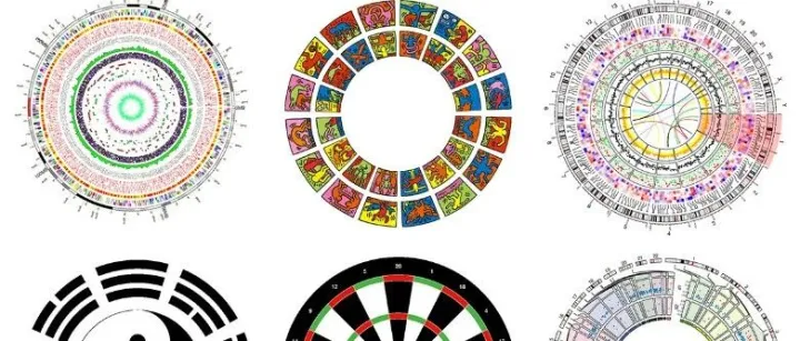 R语言可视化|circlize绘制Circular layout的参数介绍