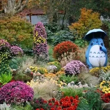 免费的秋日“莫奈花园”！不愧是魔都顶流