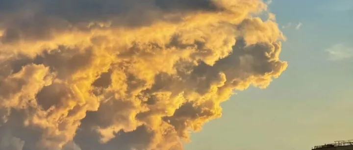 跨境老板懂业务不意味着你需要懂实操