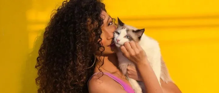 Excel高级技能: 如何隐藏和保护公式