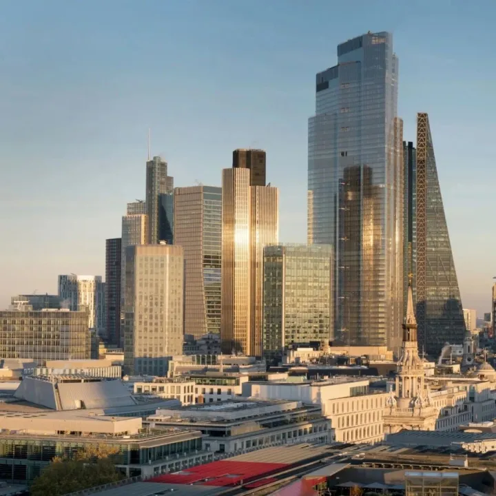 共赴进博会创新之约，解锁跨境合作黄金机遇