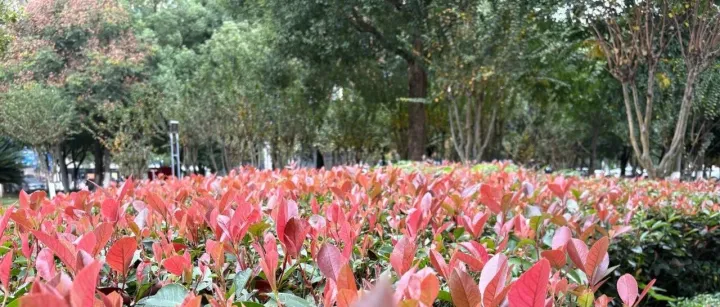 补货出现小插曲，让我明白深耕供应链的必要性