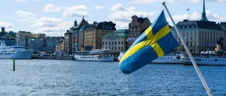 瑞典外贸客户自主开发，终于找到靠谱网站啦！