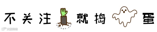 万圣节动图引导关注