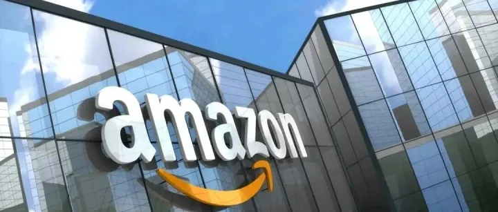 分化时代的生存法则：2026亚马逊战略下，不同规模卖家该怎么选？