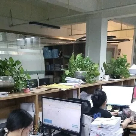 专业公司都是怎么确认广州办理出口退税费用的？