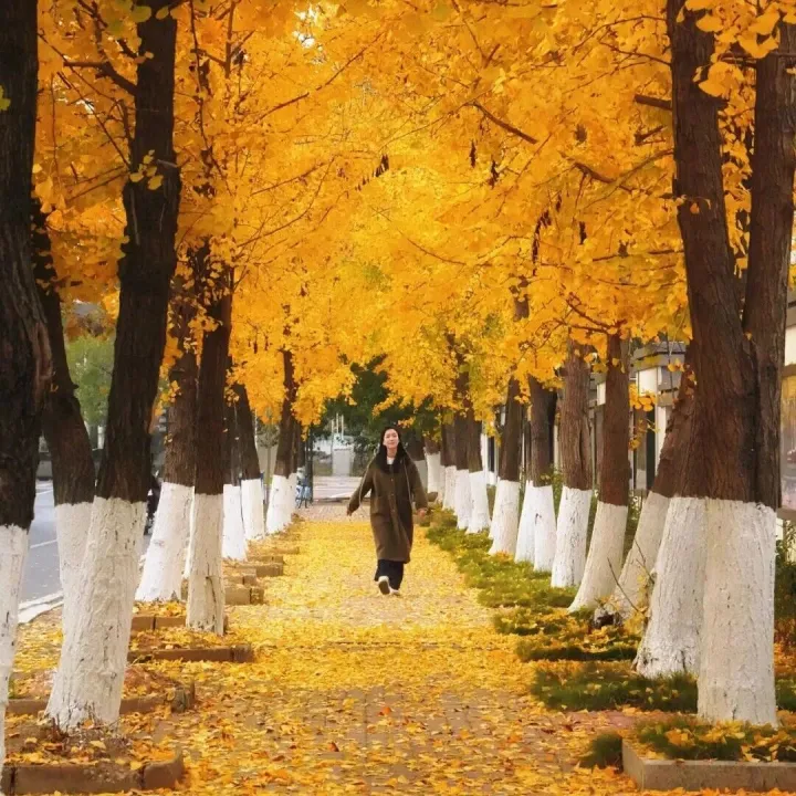 黄金赛道，等你来打卡！